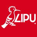 Lipu Treviso