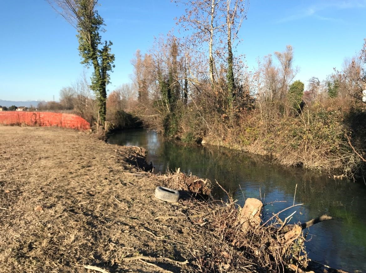 Abbattimento di siepe riparia a Carbonera: Lipu, WWF e Legambiente chiedono chiarimenti agli organi istituzionali – Aggiornamento