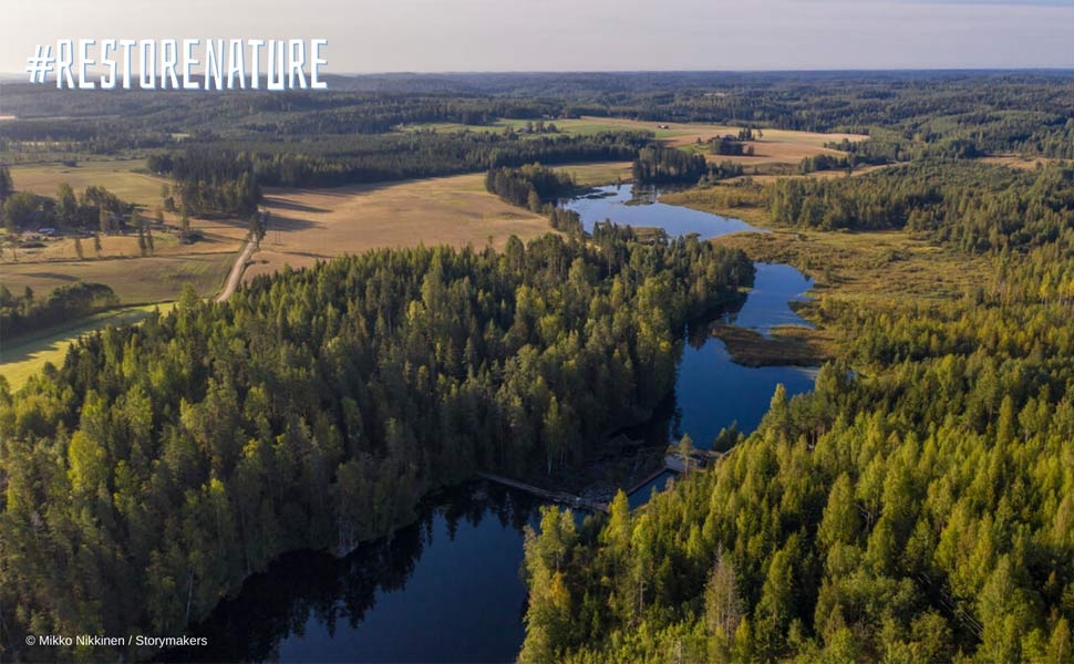 Il Parlamento europeo approva la Nature Restoration Law. “Un traguardo eccezionale”