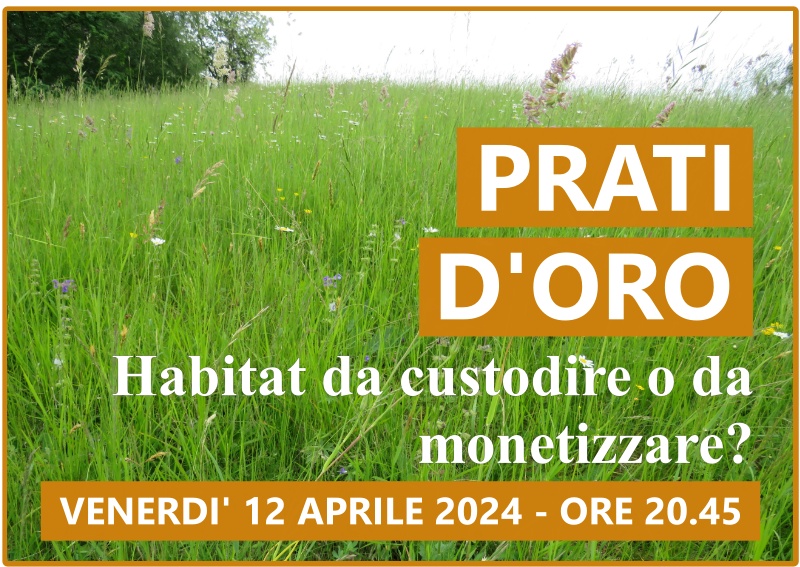 Prati d’Oro