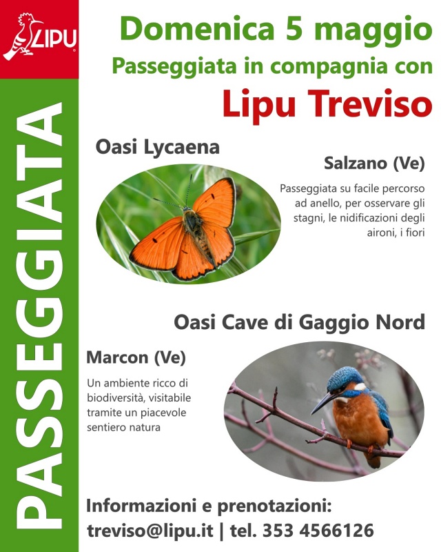 Passeggiata in compagnia