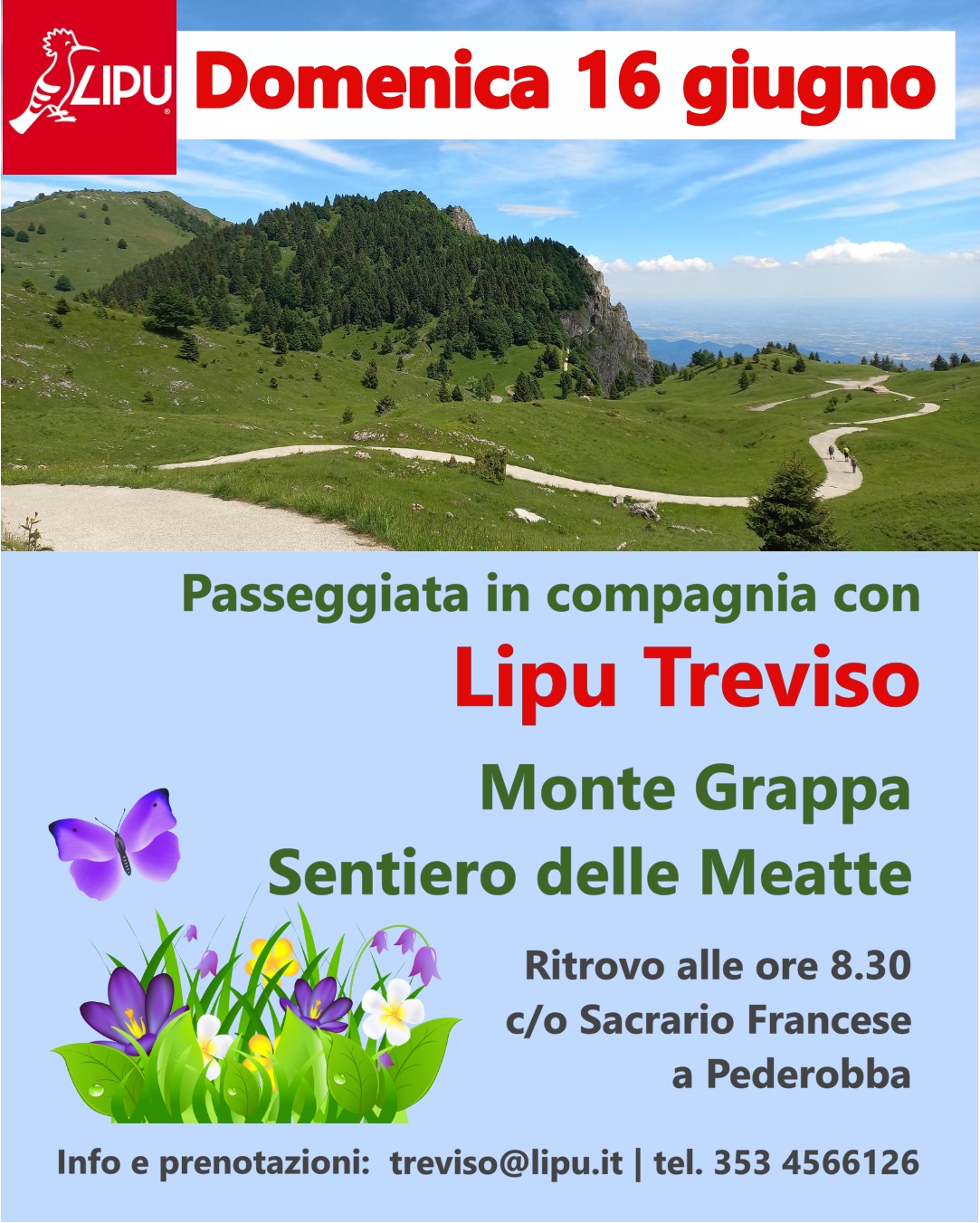 Passeggiata in compagnia
