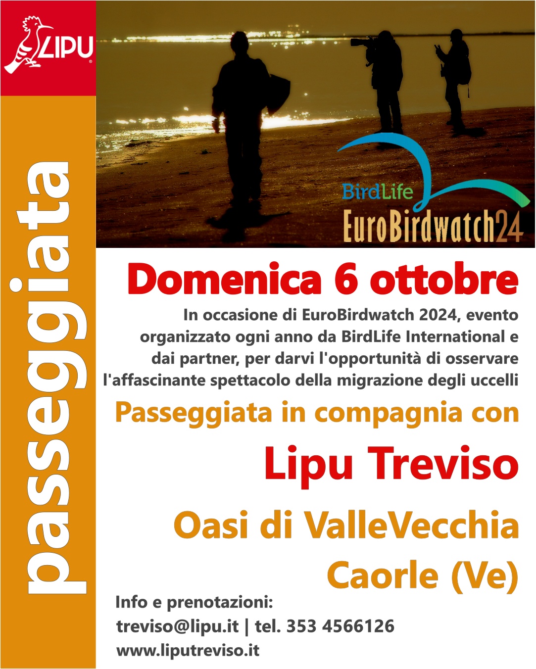 Passeggiata in compagnia