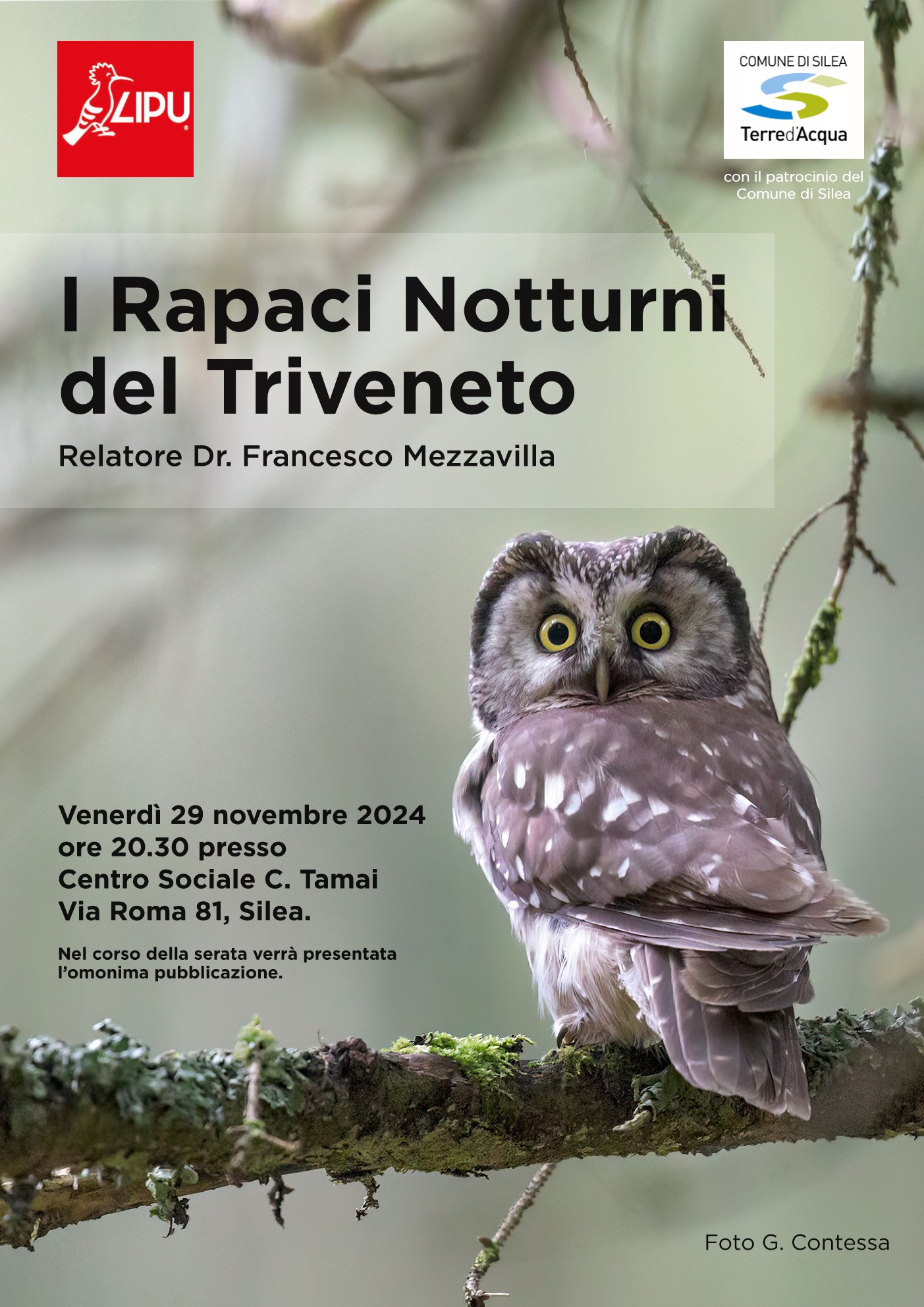 I Rapaci Notturni del Triveneto