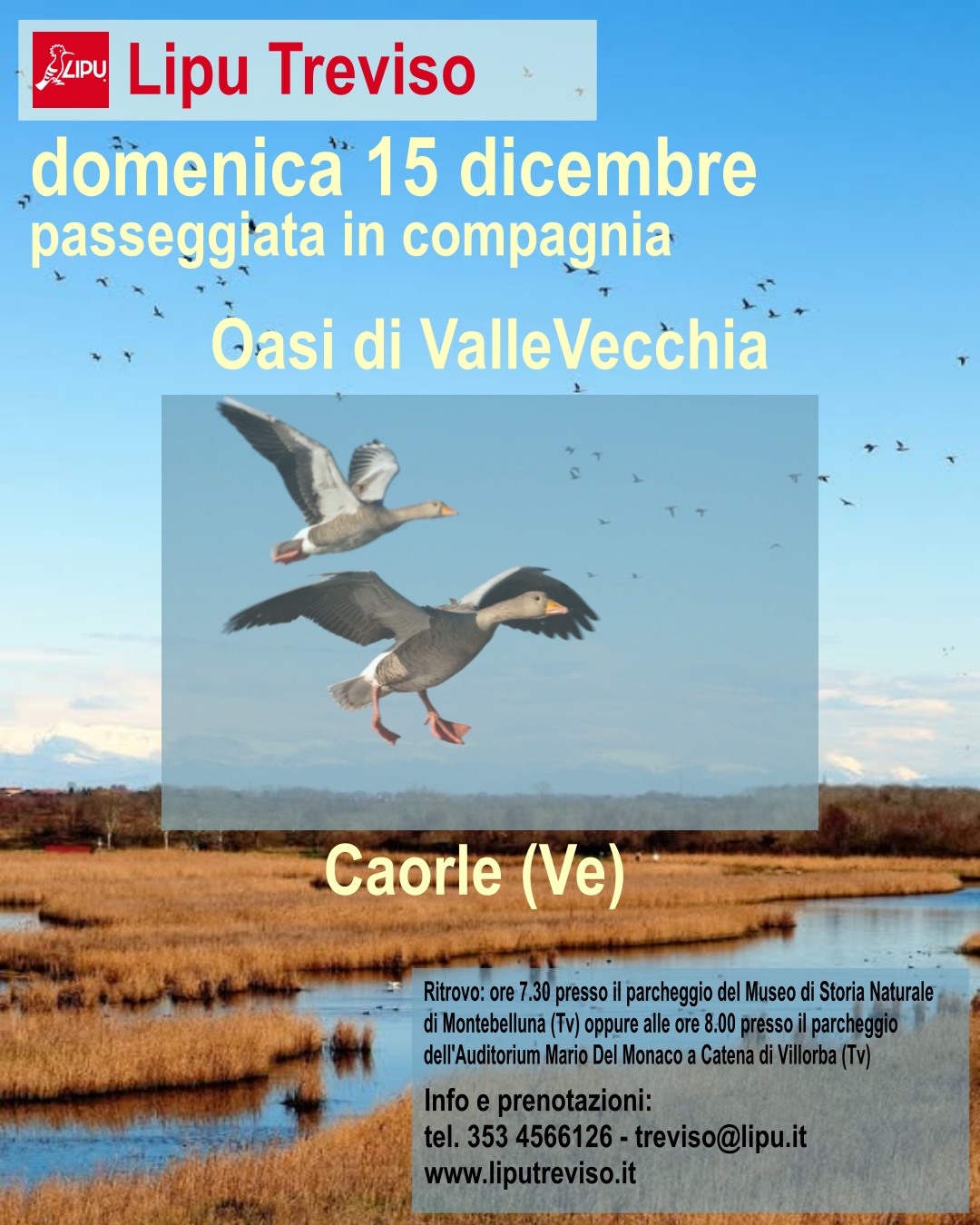 Passeggiata in compagnia