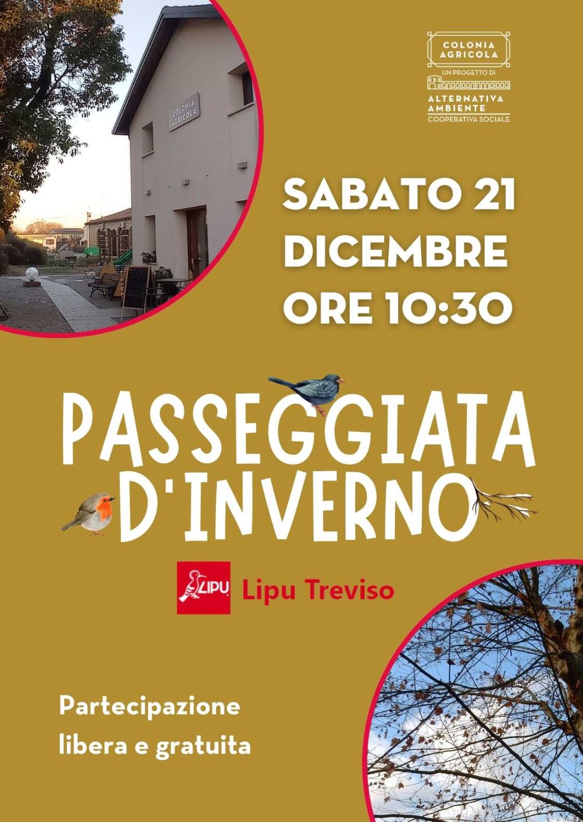 Passeggiata d’inverno