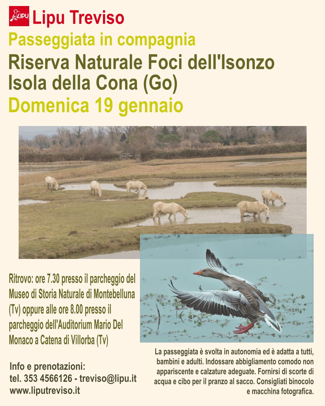Passeggiata in compagnia