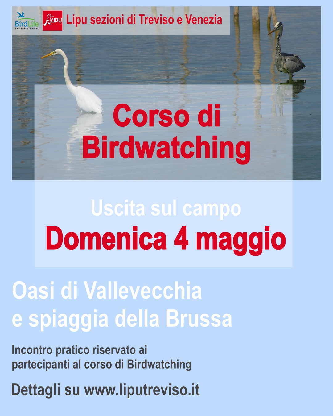 Uscita Corso Birdwatching