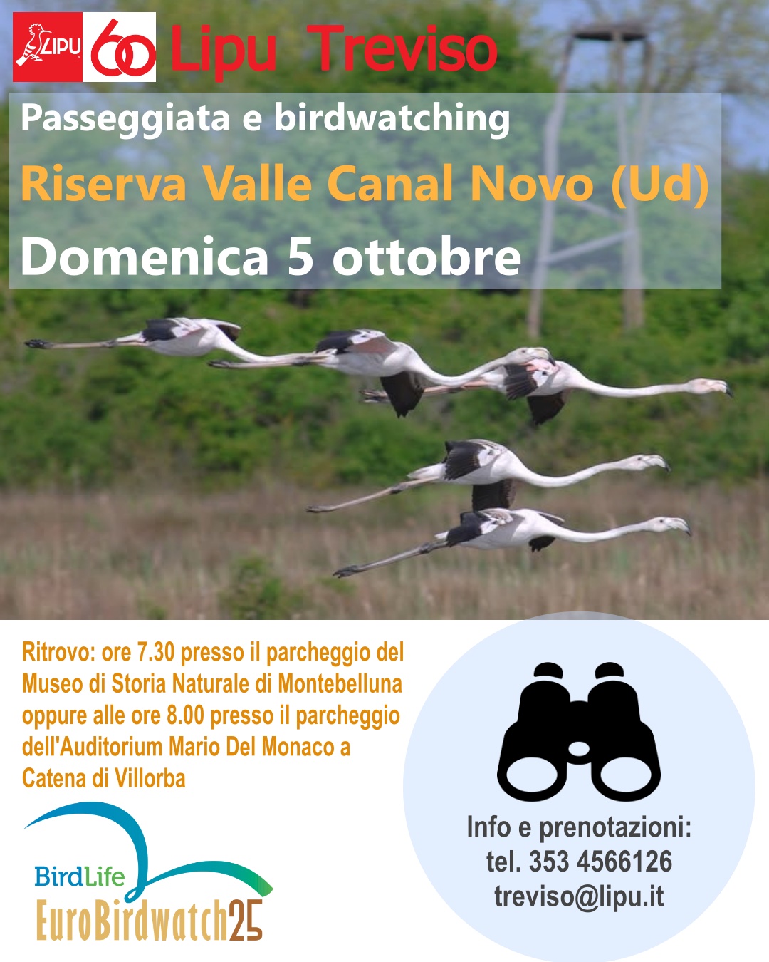 EuroBirdwatch 2025