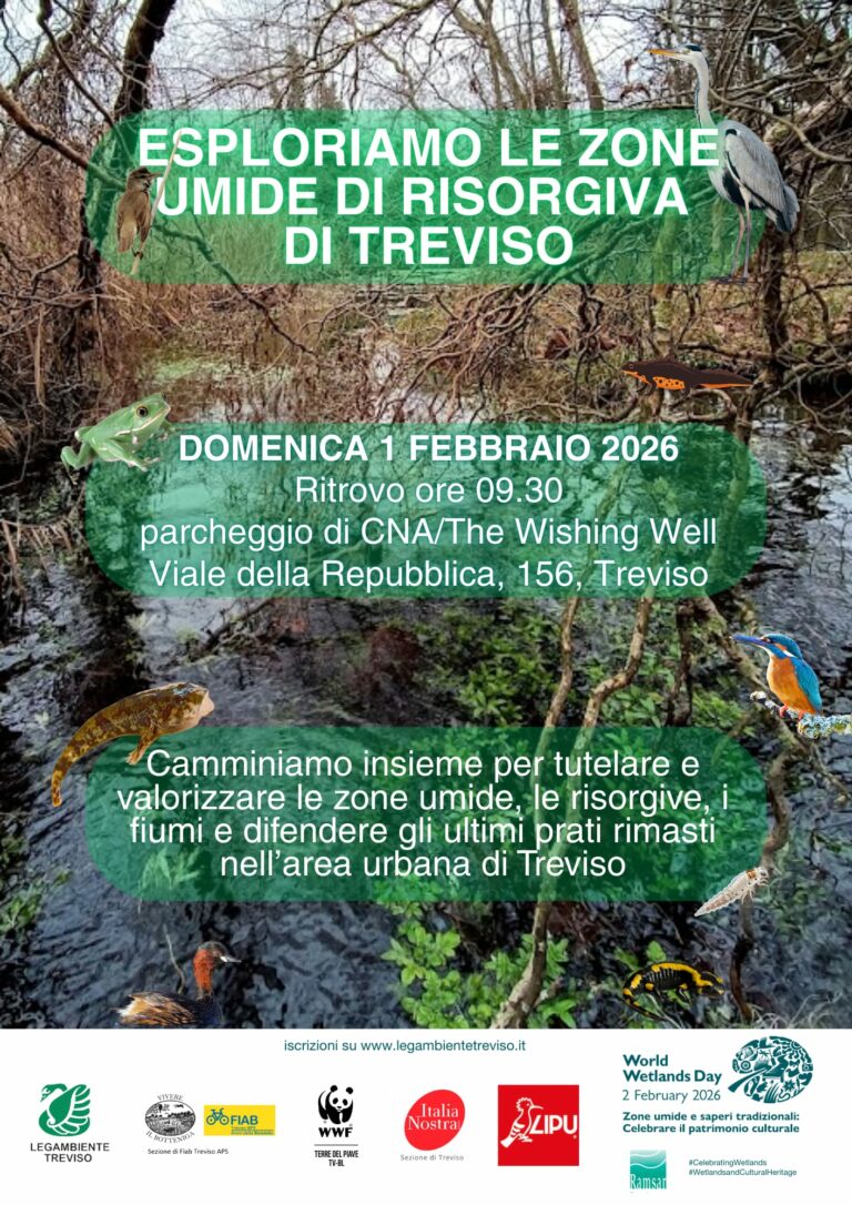 Domenica 1 febbraio esploreremo insieme le zone umide di risorgiva di Treviso