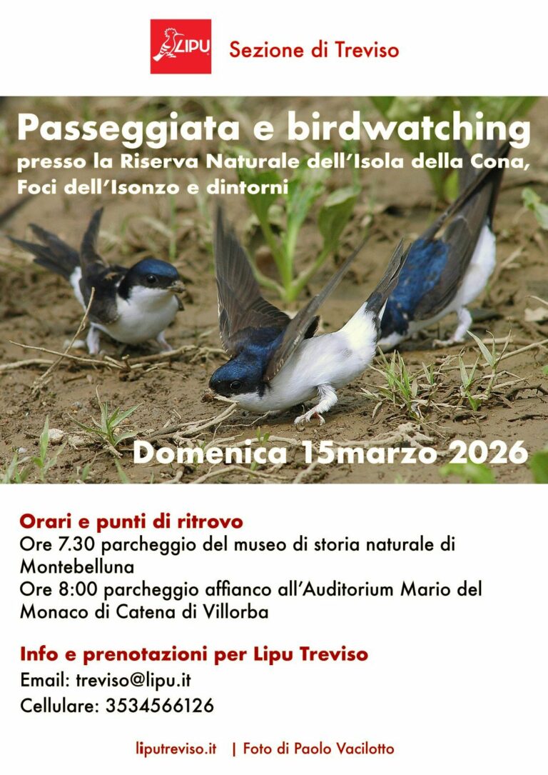 Ritorniamo insieme in natura! Il 15 marzo passeggeremo nella Riserva Naturale della Foce dell’Isonzo, nell’Isola della Cona e dintorni