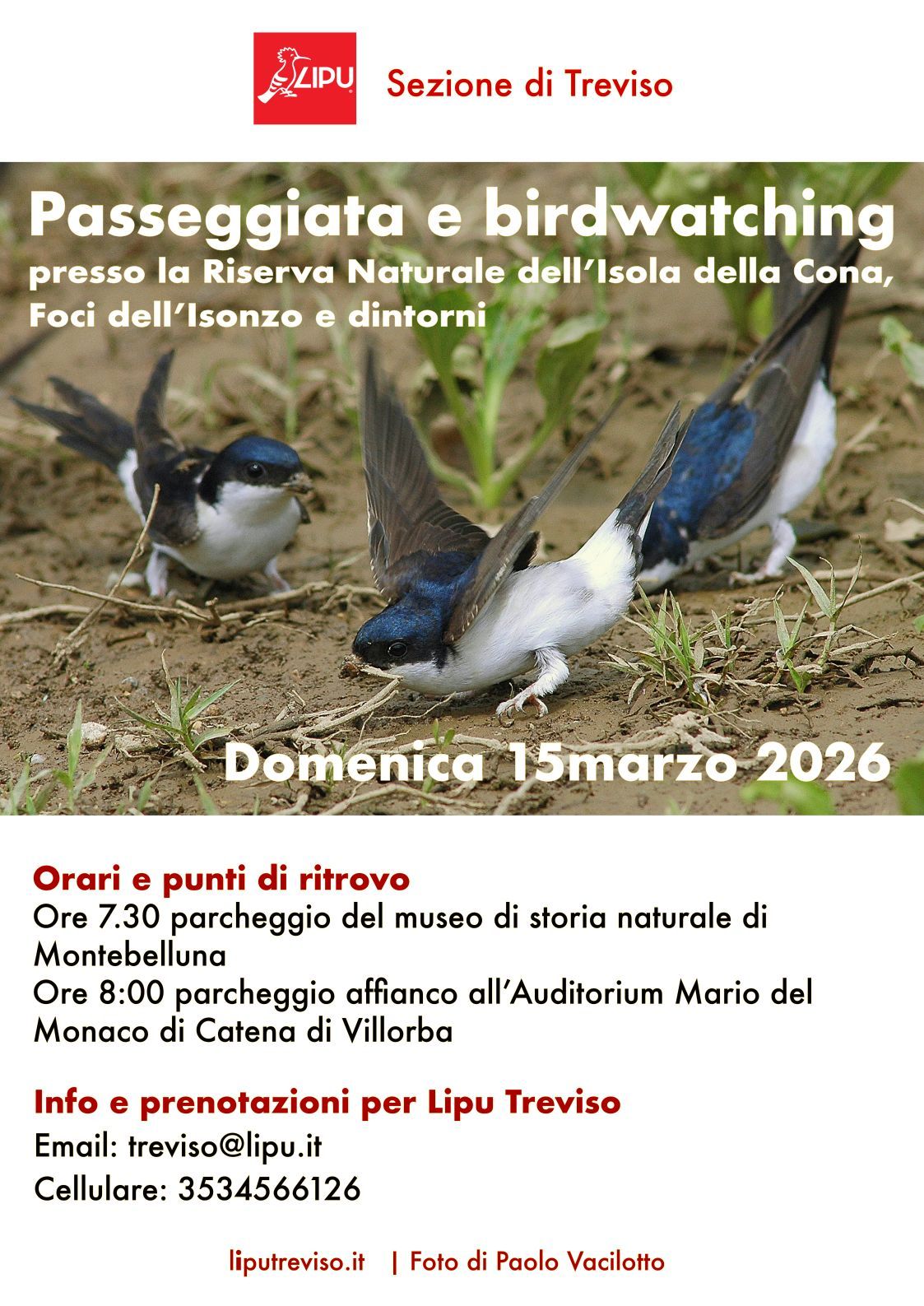 Ritorniamo insieme in natura! Il 15 marzo passeggeremo nella Riserva Naturale della Foce dell’Isonzo, nell’Isola della Cona e dintorni