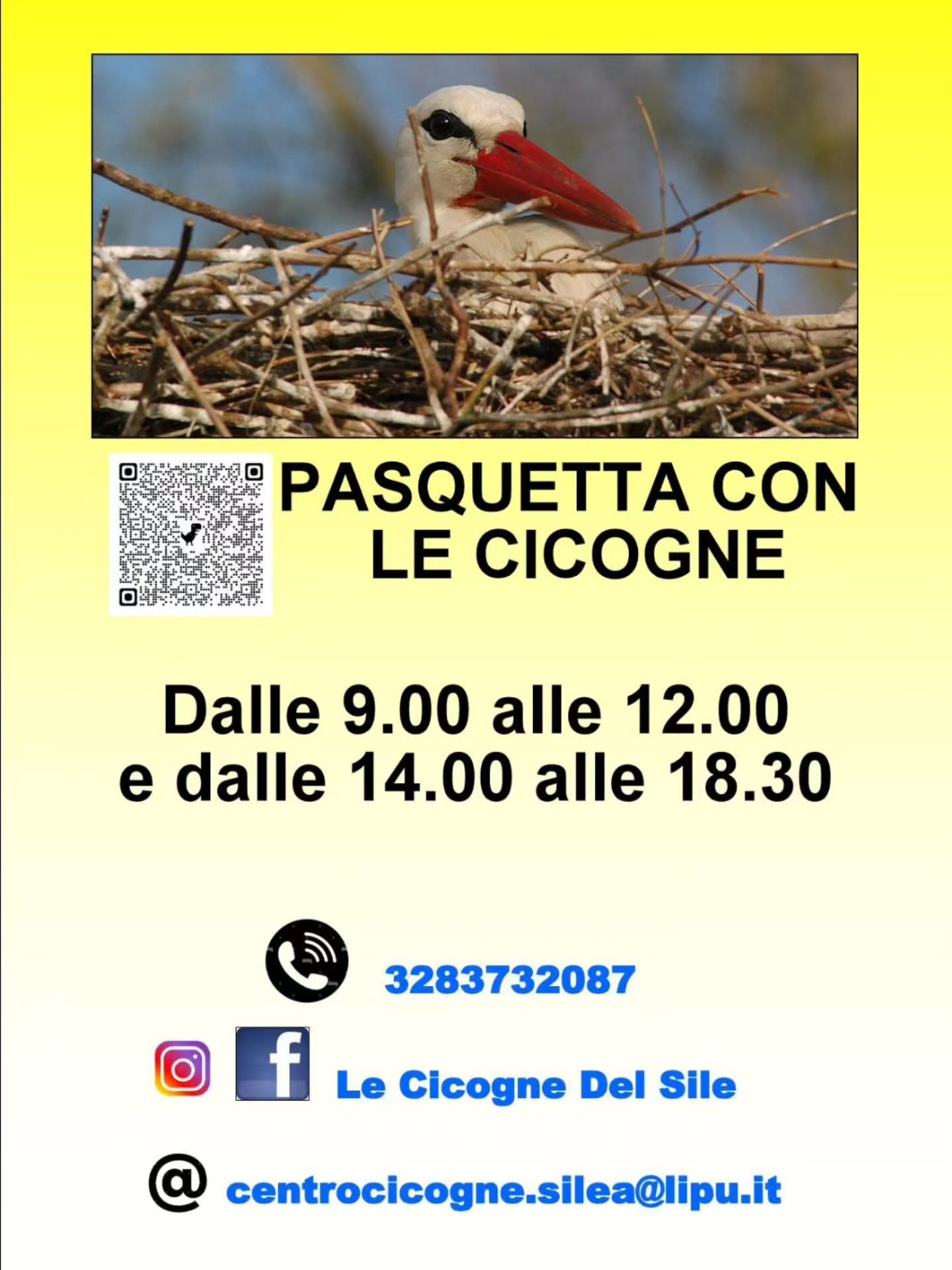 Pasquetta con le cicogne!