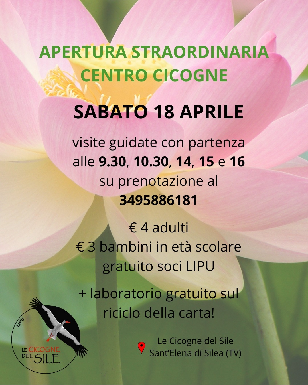 Sabato 18 aprile – “Cicogne di carta: ricicla, modella, pianta” presso Oasi Le cicogne del Sile.