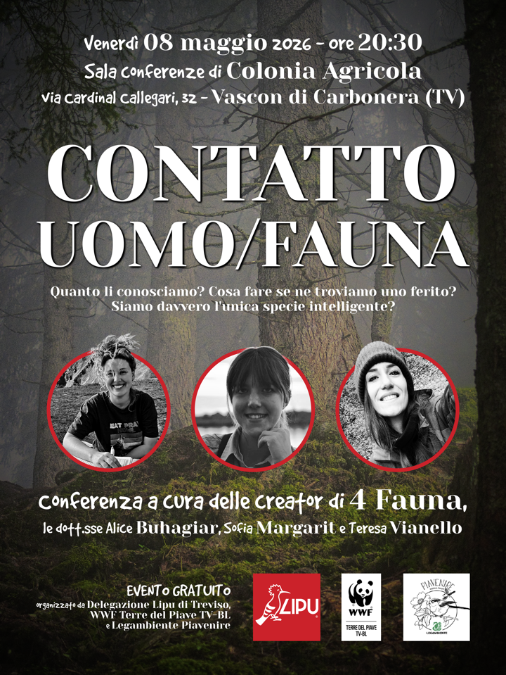 Venerdì 8 maggio ore 20.30 “Contatto Uomo/Fauna” a cura delle creator di 4 Fauna