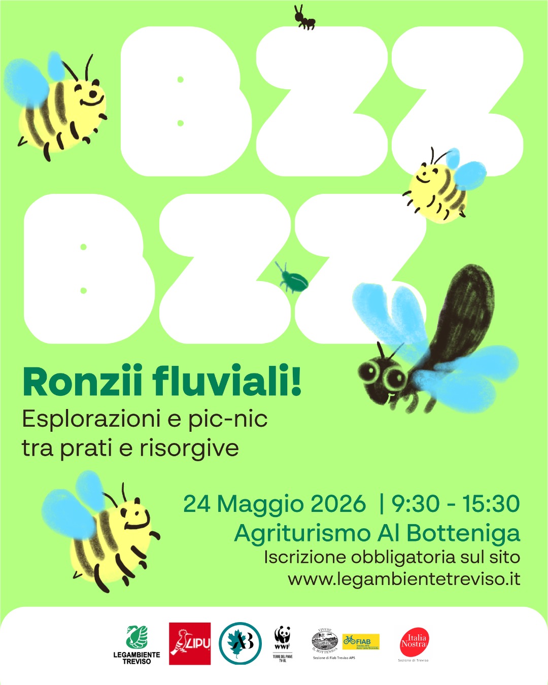 BZZ! BZZ! RONZII FLUVIALI!
