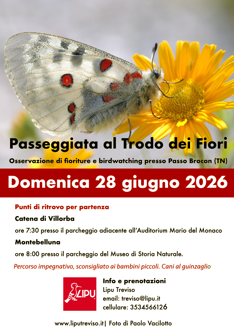 28 giugno 2026 – Una passeggiata al Trodo dei Fiori per salutare l’estate