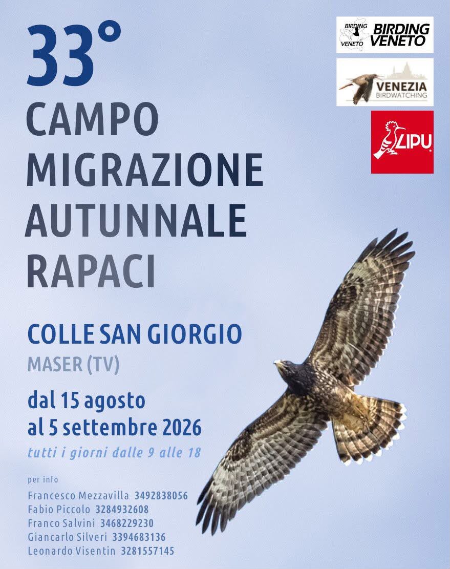 33° Campo migrazione autunnale rapaci a Maser